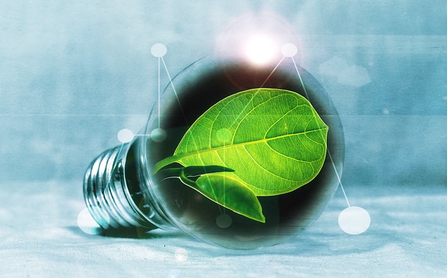 Rénovation énergétique : les clés du succès